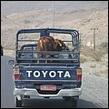 Oman13047.jpg