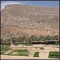 Oman13048.jpg