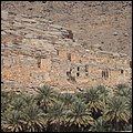 Oman13049.jpg