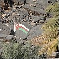 Oman13072.jpg