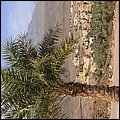 Oman13074.jpg