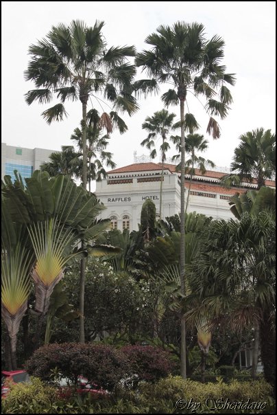 Singapur063.jpg