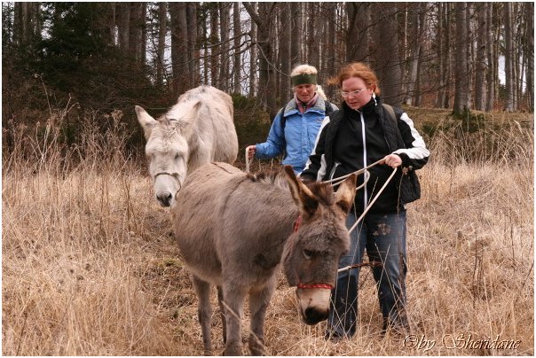 Eselfarm028.jpg
