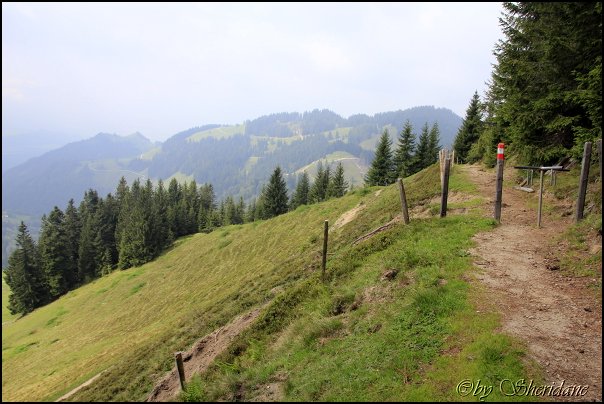 Wandberg004.jpg