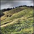 Wandberg008.jpg