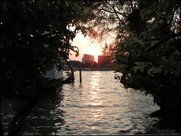 Thailand052.jpg