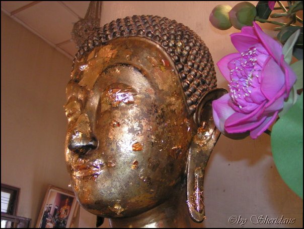 Thailand060.jpg