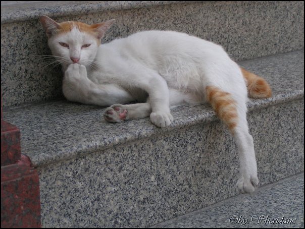 Thailand069.jpg
