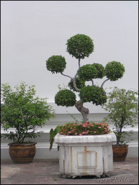 Thailand086.jpg