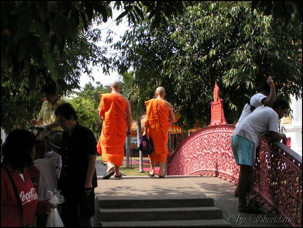 Thailand099.jpg