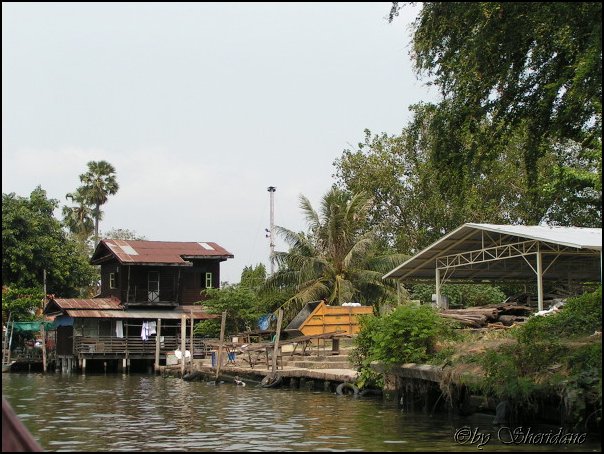 Thailand106.jpg