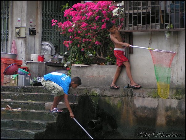 Thailand115.jpg