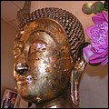 Thailand060.jpg