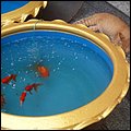 Thailand065.jpg