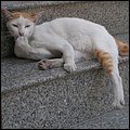 Thailand069.jpg