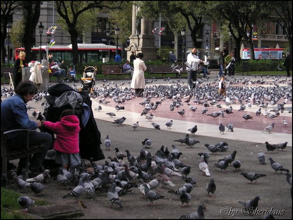 Barcelona124.jpg