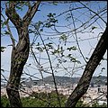 Barcelona012.jpg