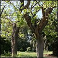Barcelona015.jpg