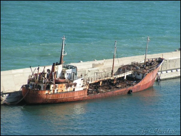 Bari003.jpg