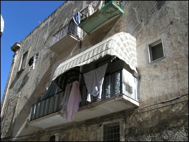 Bari007.jpg