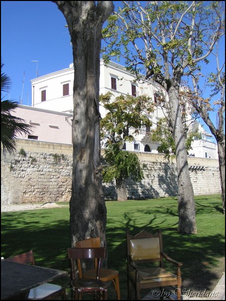 Bari015.jpg
