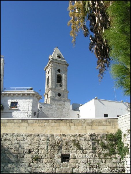 Bari016.jpg
