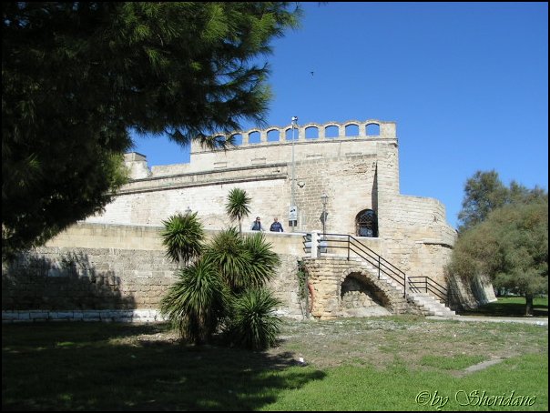 Bari017.jpg
