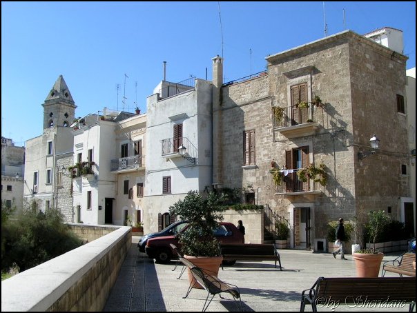 Bari018.jpg