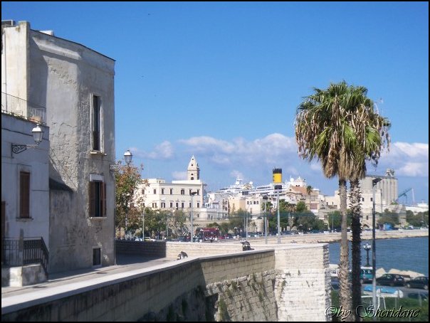 Bari020.jpg