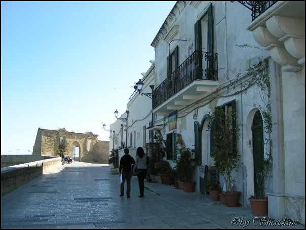 Bari021.jpg