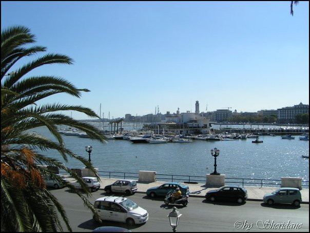 Bari022.jpg