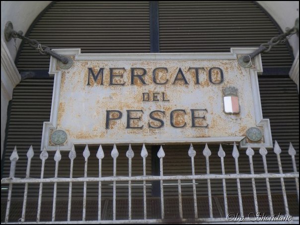 Bari025.jpg