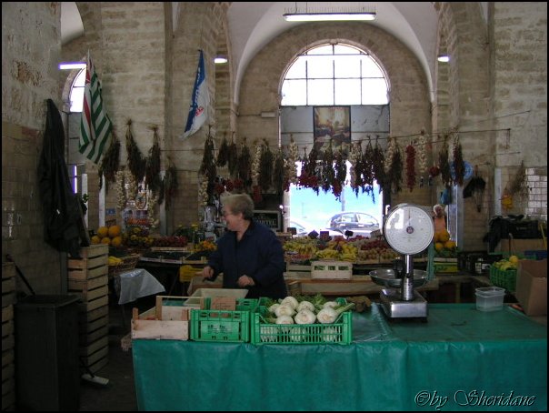 Bari026.jpg