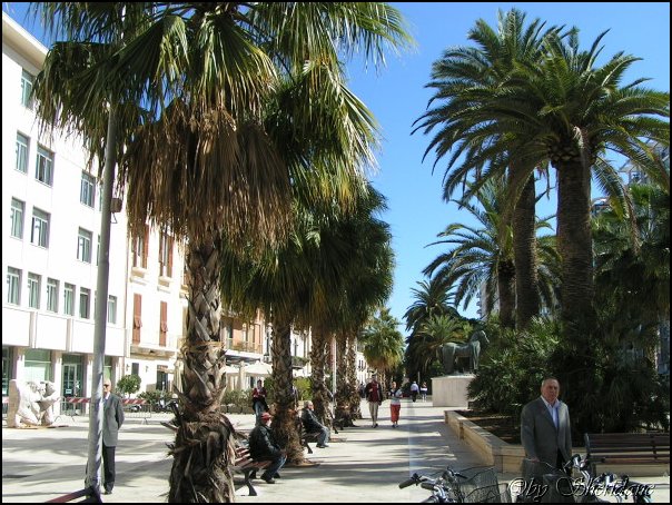 Bari029.jpg