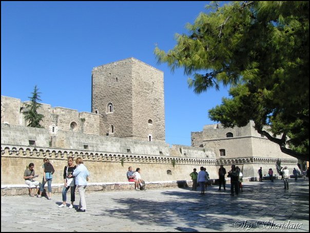 Bari031.jpg