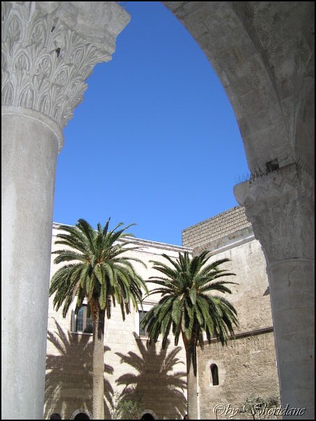 Bari032.jpg