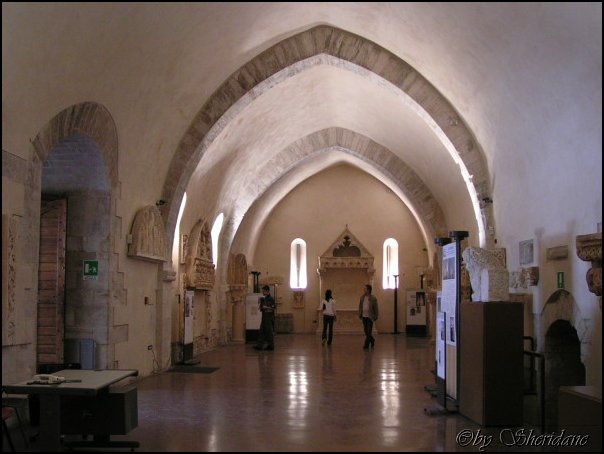 Bari034.jpg