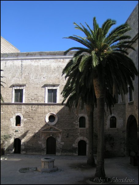 Bari035.jpg