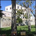 Bari015.jpg