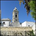 Bari016.jpg