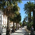Bari029.jpg