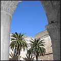 Bari032.jpg