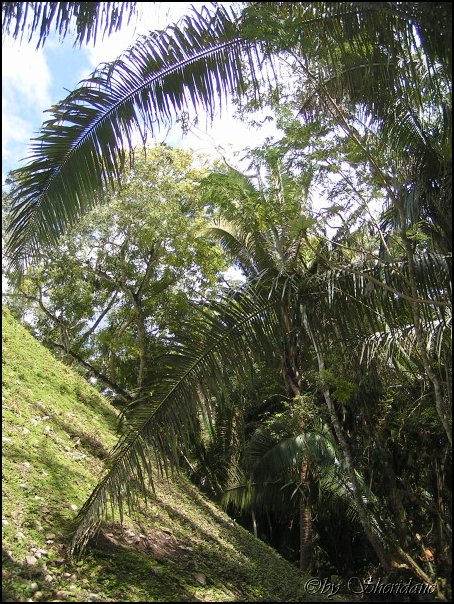 Belize011.jpg