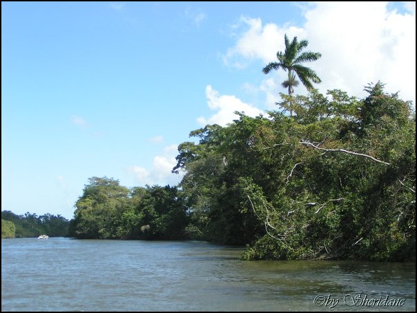 Belize020.jpg