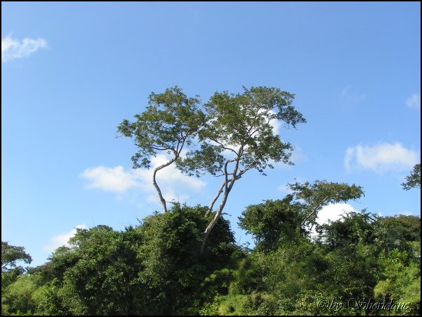 Belize021.jpg
