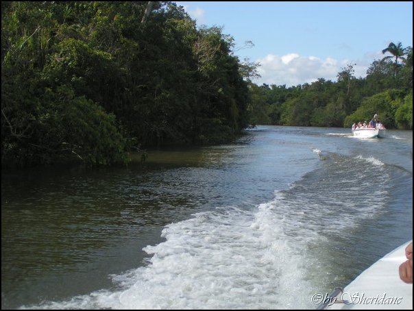 Belize023.jpg