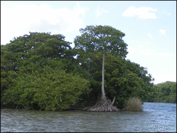 Belize030.jpg