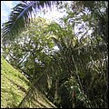 Belize011.jpg