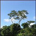 Belize021.jpg
