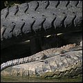 Belize024.jpg